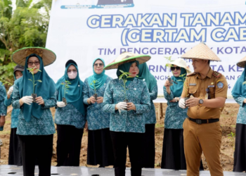 Cabai Jadi Komoditas Penyumbang Inflasi Tertinggi Disektor Pertanian, Pemkot Galakan Tanam Cabai
