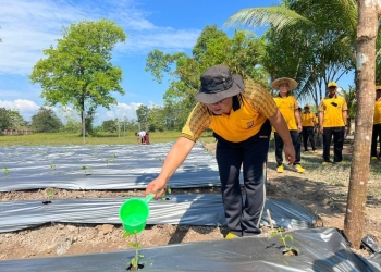 Polda Sultra Tabur 1000 Benih Ikan dan Penanaman Bibit Tanaman Pangan di Konawe, Dukung Ketahanan Pangan Nasional