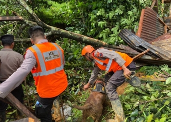 Brimob Bergerak Bantu Evakuasi Korban Banjir dan Longsor di Jateng