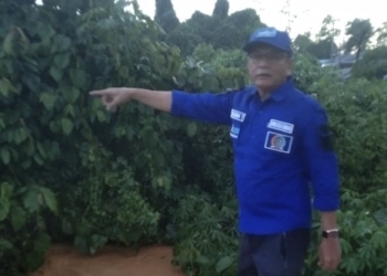 Muslimin Turun Langsung Cek Lokasi Banjir di Beberapa Wilayah Kecamatan Baruga