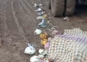 Truk Tambang di Kawasan VDNI Lindas Pedagang Sayur Hingga Tewas