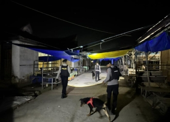 K9 Polda Sultra Gelar Patroli di Sejumlah Titik Rawan di Kendari